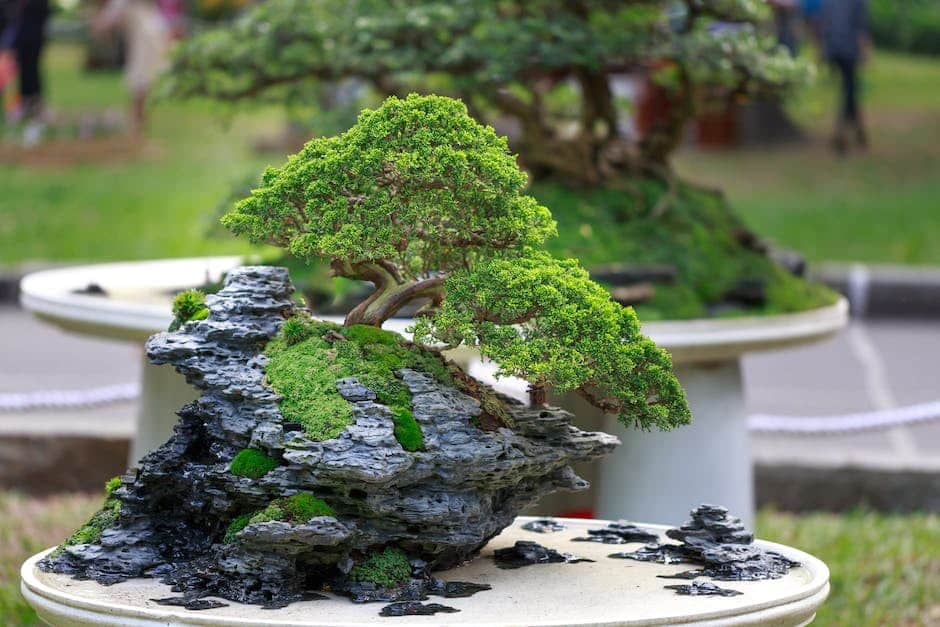 Discover Tranquility: Bonsai Art & Miniature Masterpieces